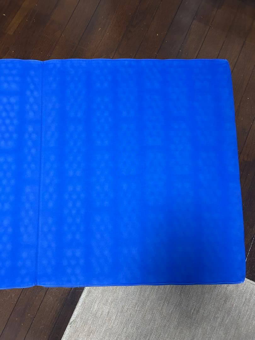 ヘルスウェーブゴールド 施術用 NSP（195×75×11）