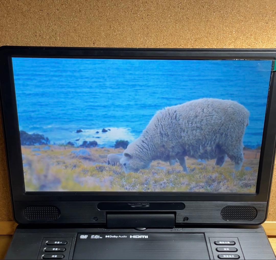 21年製 大画面ポータブルDVD・BD・Blu-ray・ブルーレイプレーヤー