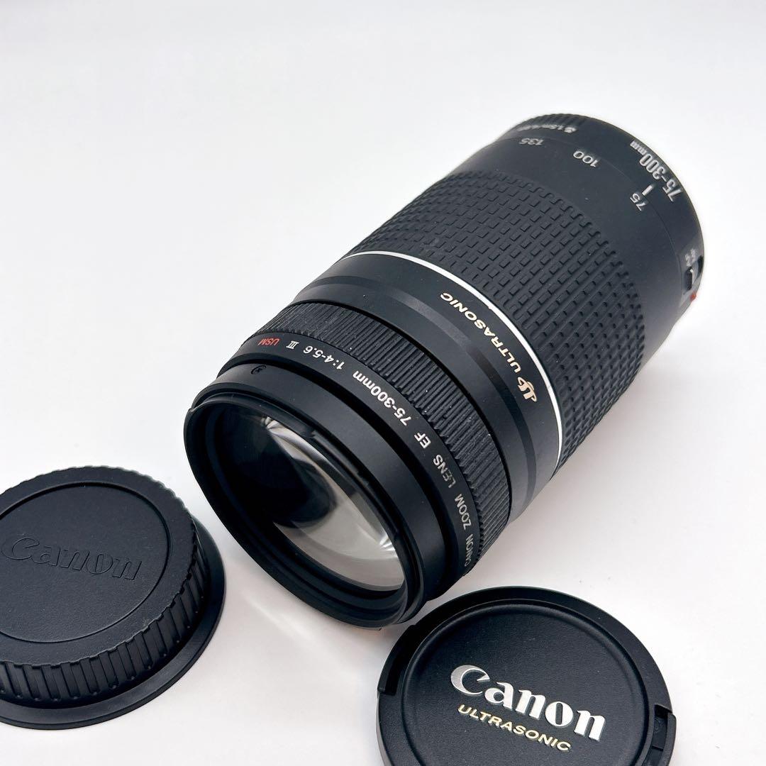 【美品】CANON 望遠レンズEF 75-300mm 1:4-5.6 Ⅲ