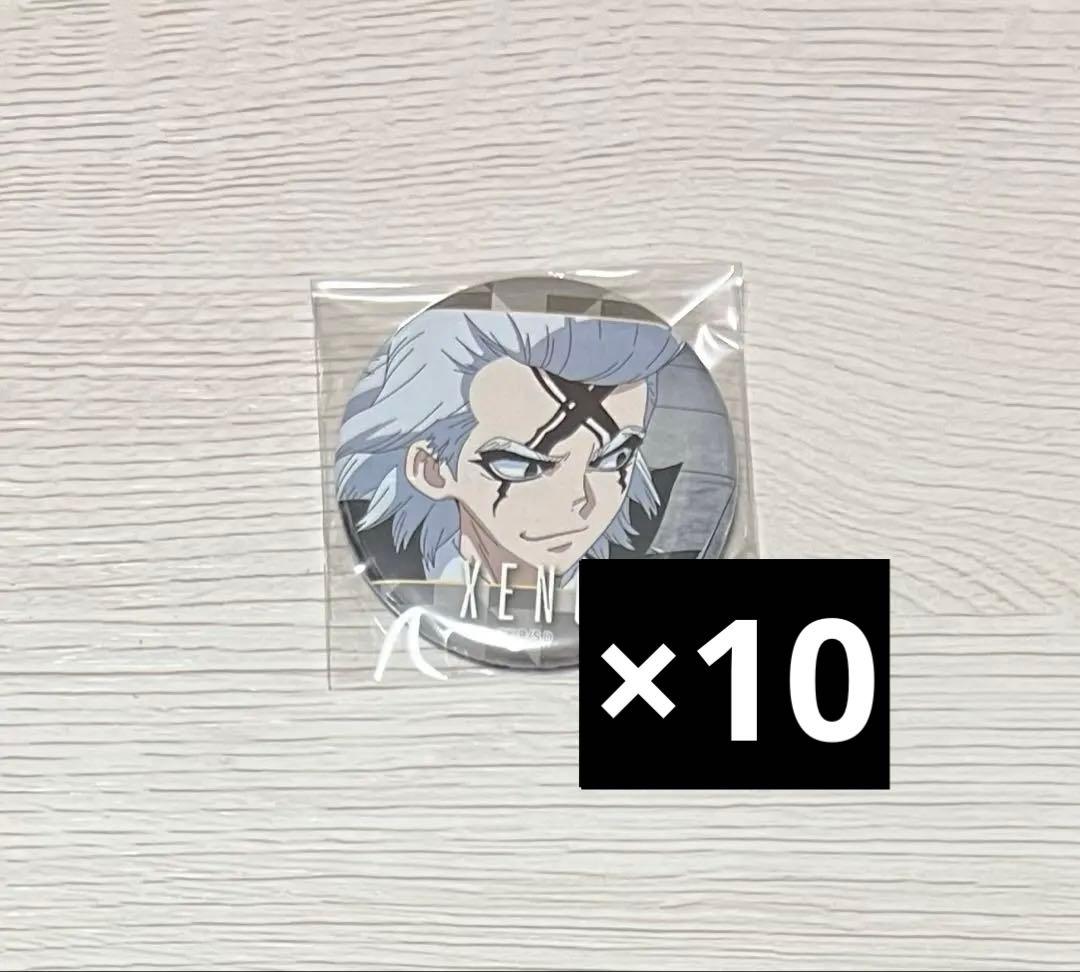 dr.stone スキマストア フライトジャケット 缶バッジ 30個 スタンリー