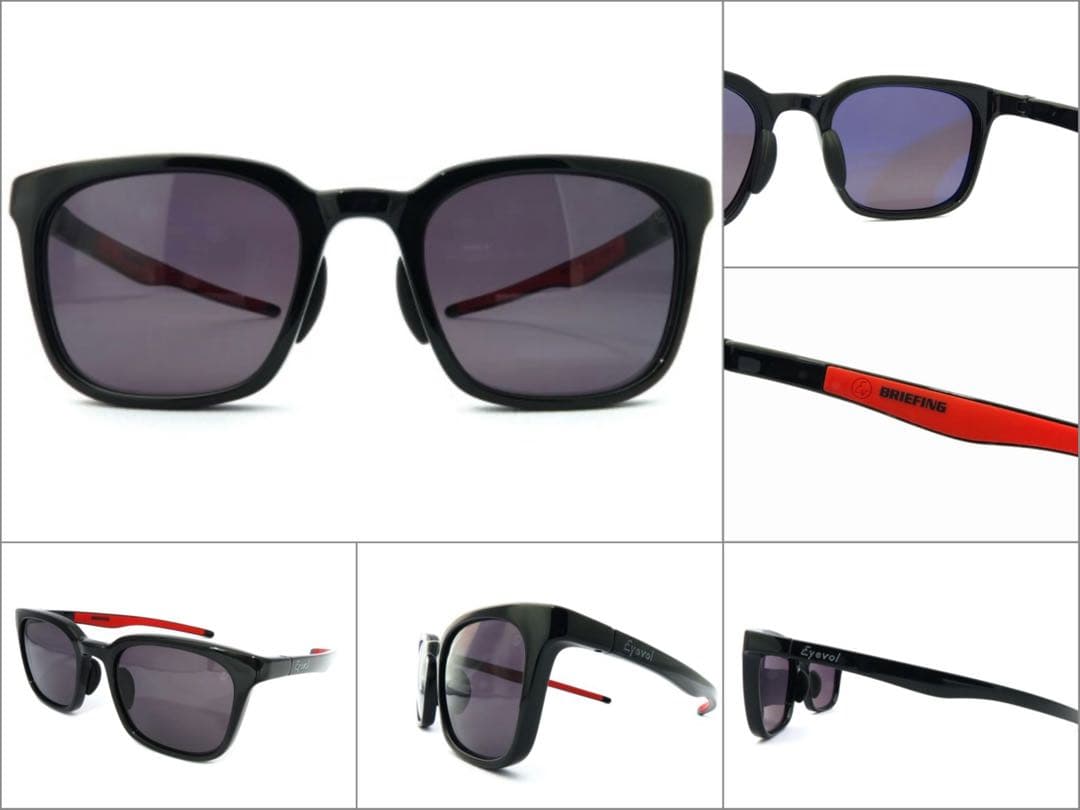 Briefing Eyevol HEATH Ⅱ サングラス