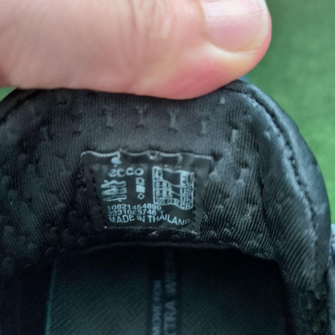 エコー ゴルフシューズ バイオム ハイブリッド4 ボア 42