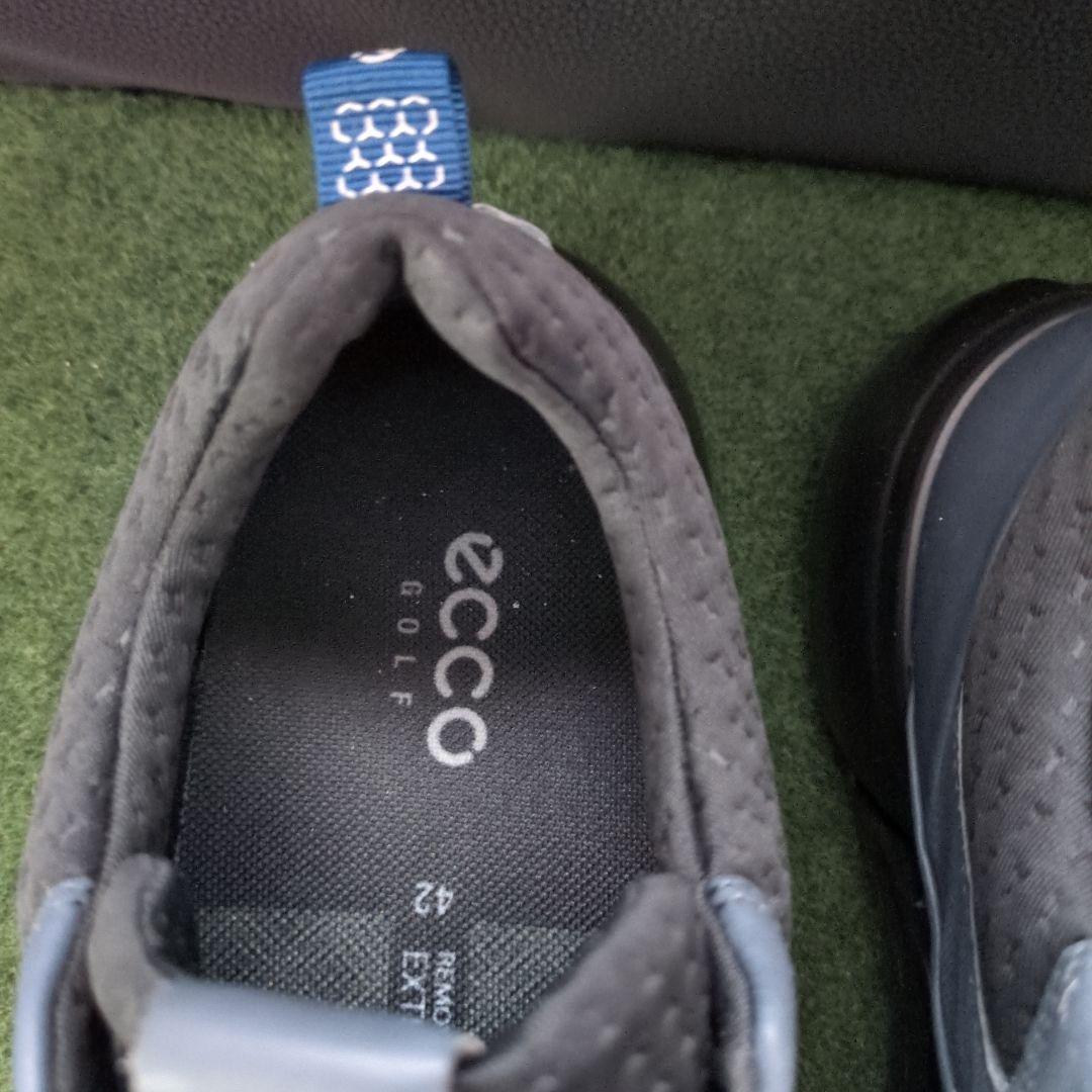 エコー ゴルフシューズ バイオム ハイブリッド4 ボア 42