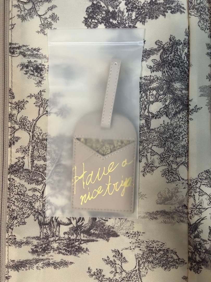 SNIDEL【Samsonite（サムソナイト）】コラボスーツケース(55cm)