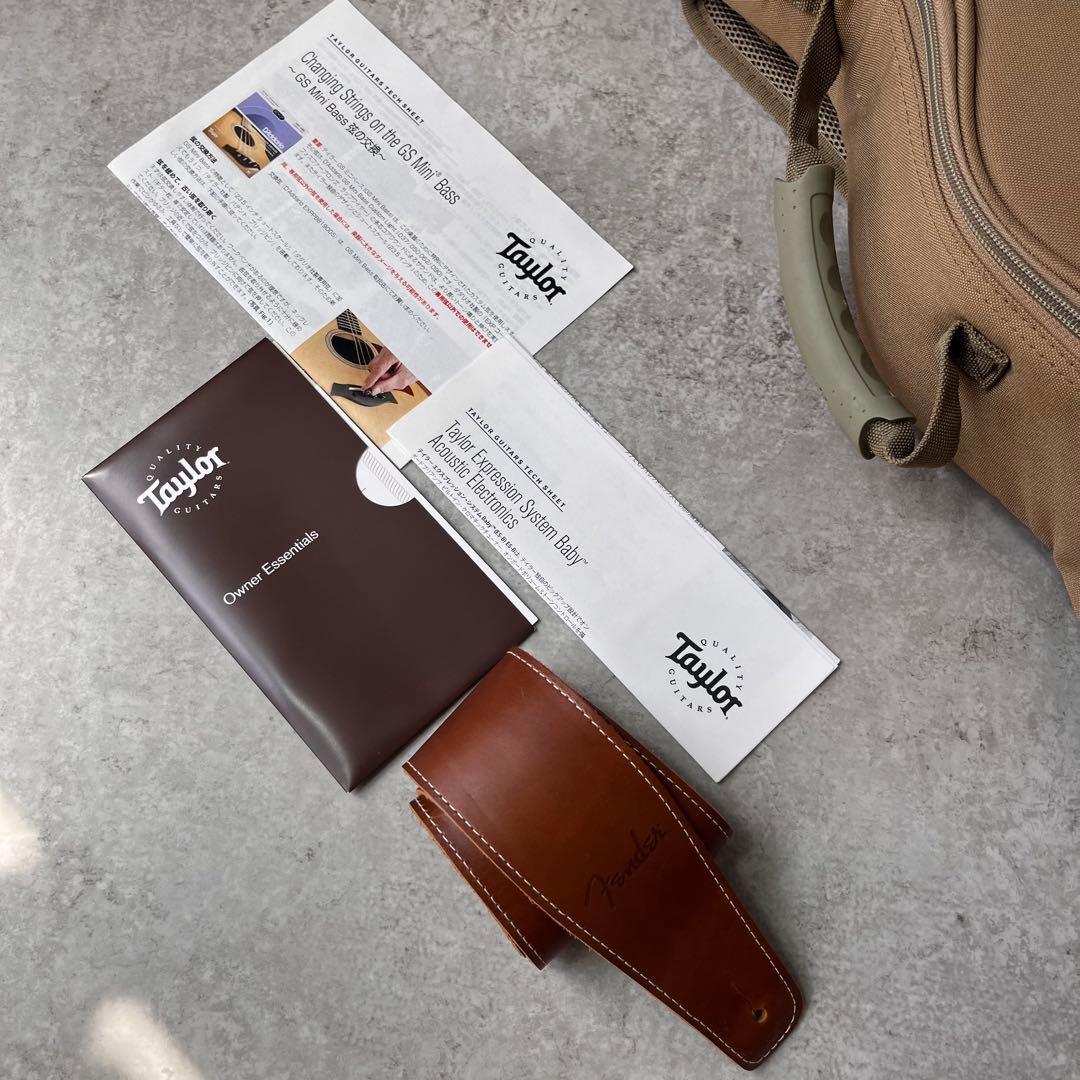 GoodOldBoy123様 Taylor GS mini-e bass