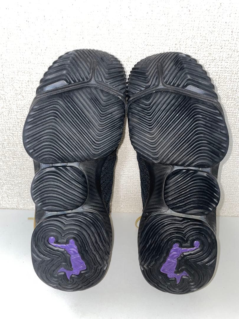 NIKE LEBRON XVI EPレブロン16 EP 黒・金 27.5cm