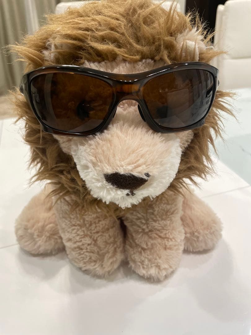 オークリー (Oakley) モデル名: ピットブル