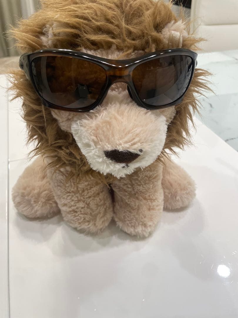 オークリー (Oakley) モデル名: ピットブル