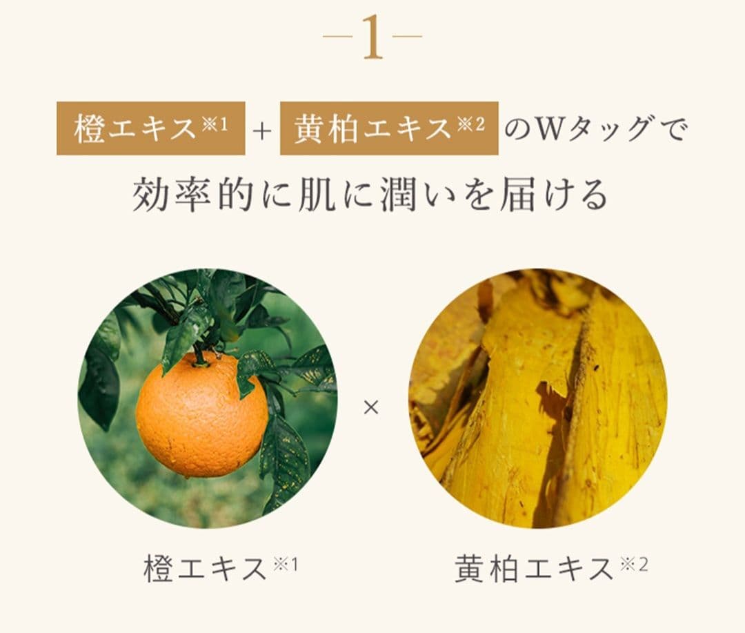 N organic Basic ローションミルクセット