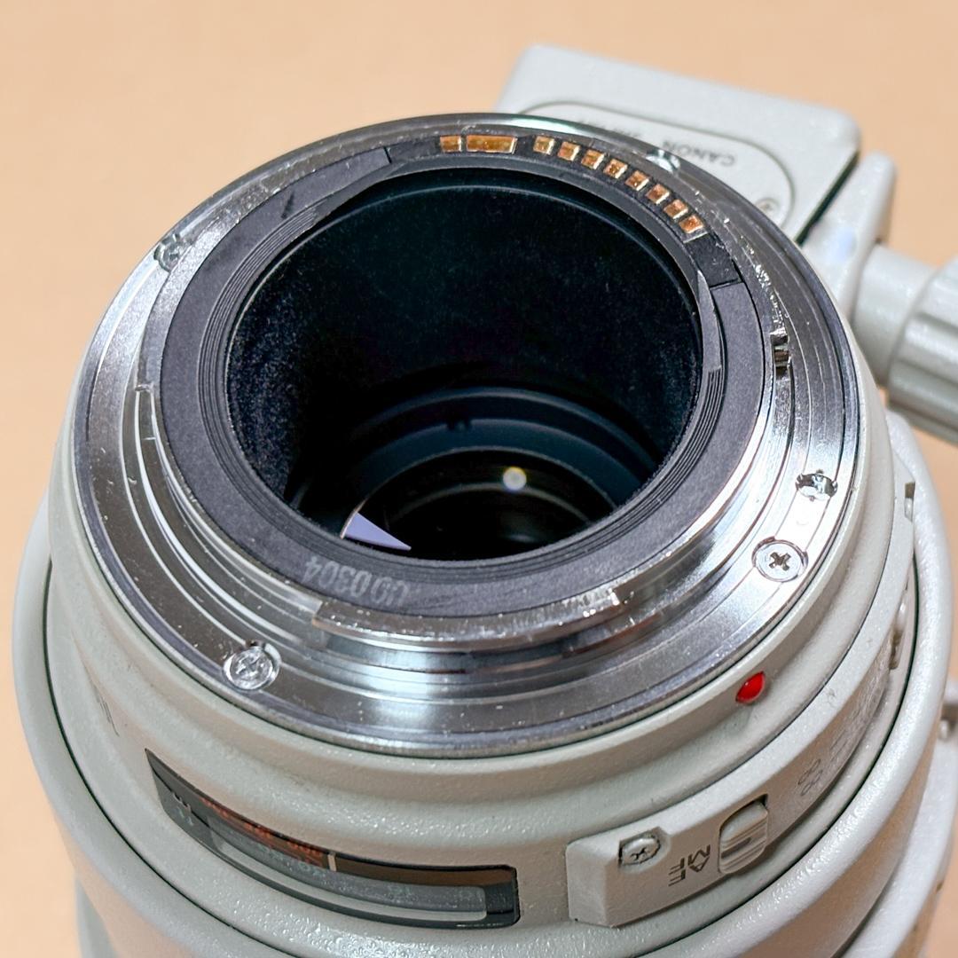 Canon EF 100-400mm f/4.5-5.6L IS USM 中古