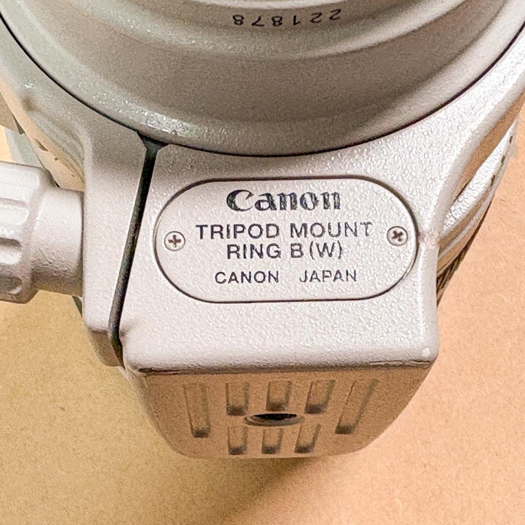 Canon EF 100-400mm f/4.5-5.6L IS USM 中古