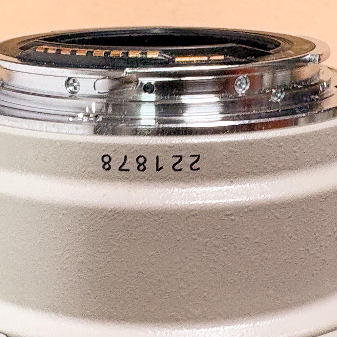 Canon EF 100-400mm f/4.5-5.6L IS USM 中古
