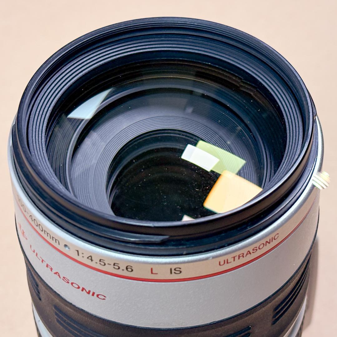 Canon EF 100-400mm f/4.5-5.6L IS USM 中古