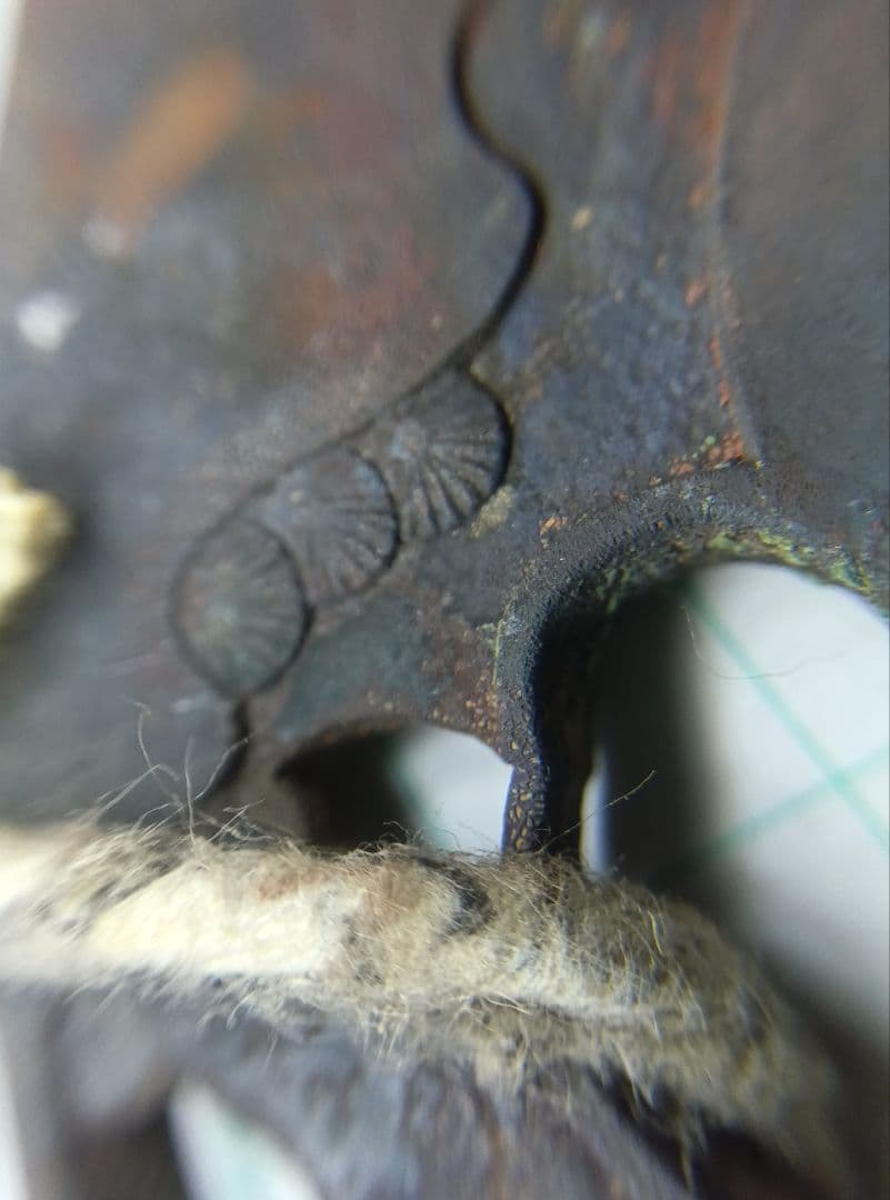 鍔 鉄鍔 切羽 はばき アンティーク 骨董 金工 古美術 つば