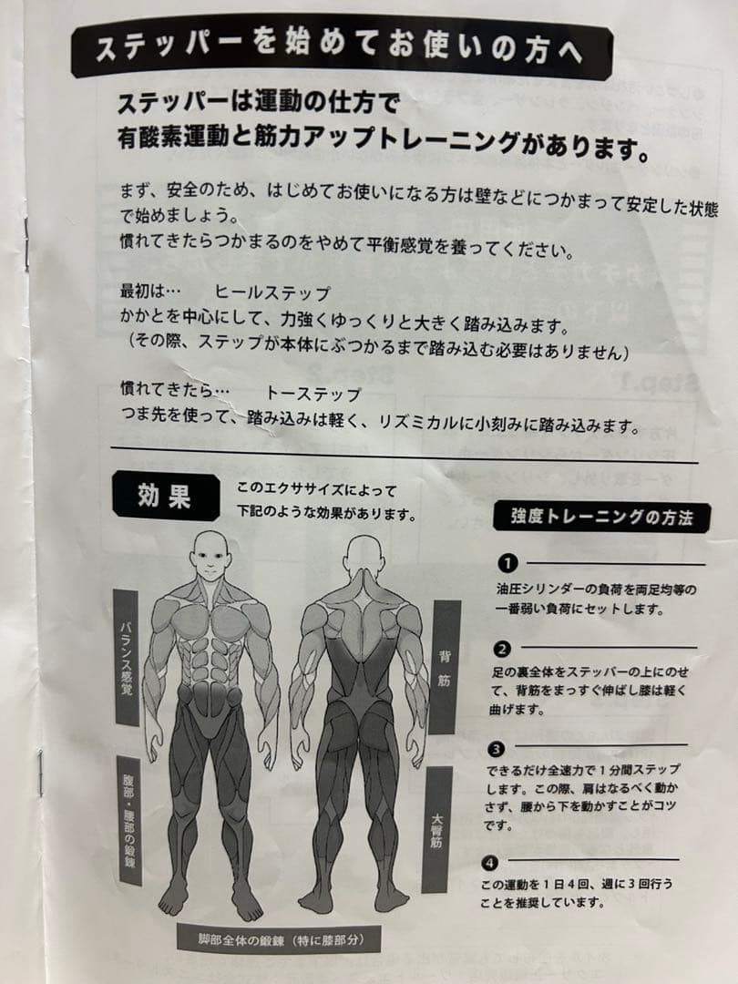 エクサー　プロ　ステッパー