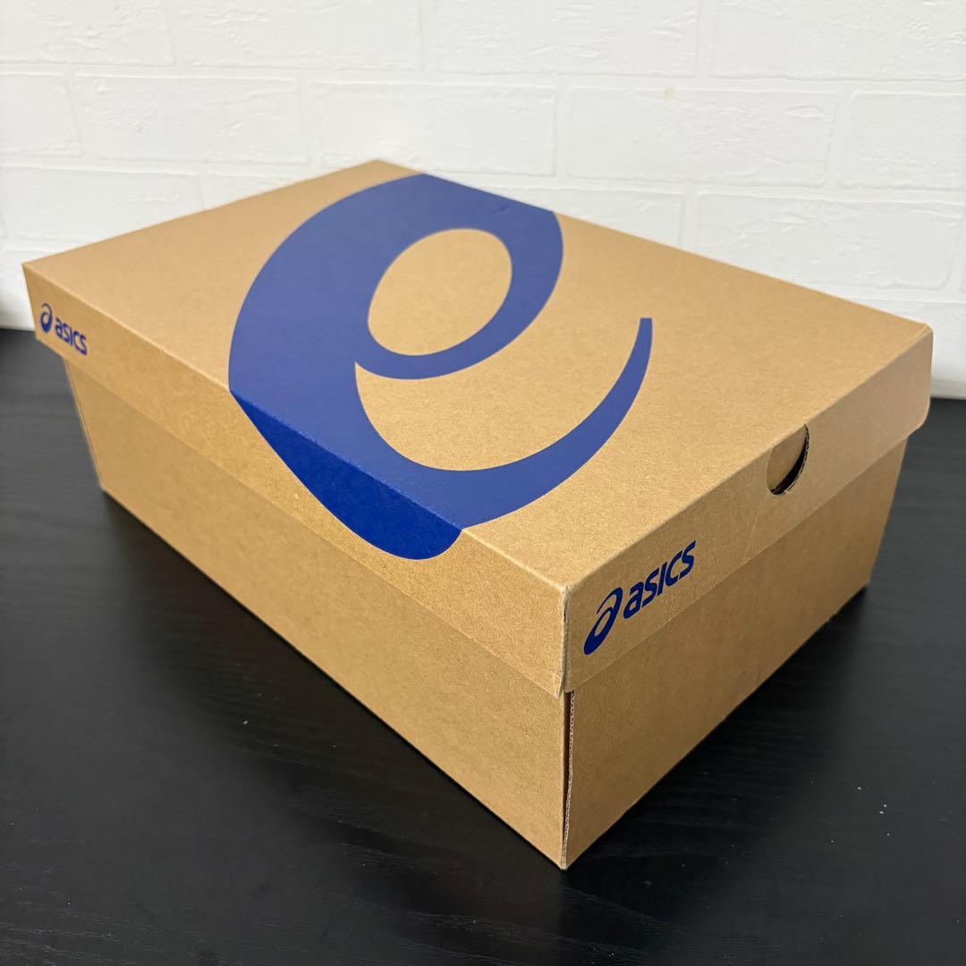 26.0cm☆アシックス GEL-KAYANO ACE 2 1111A243