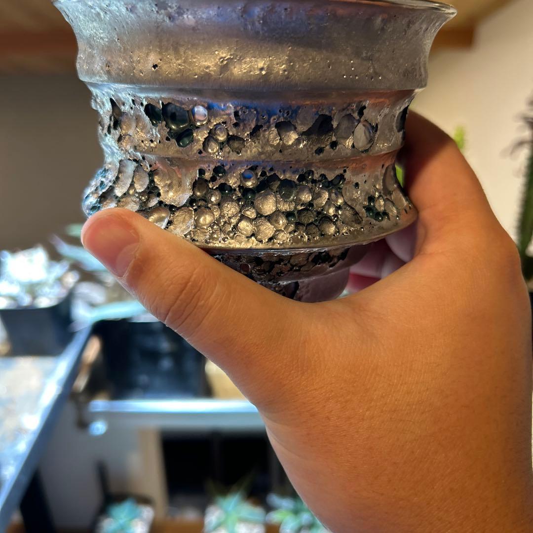 モリコロページ