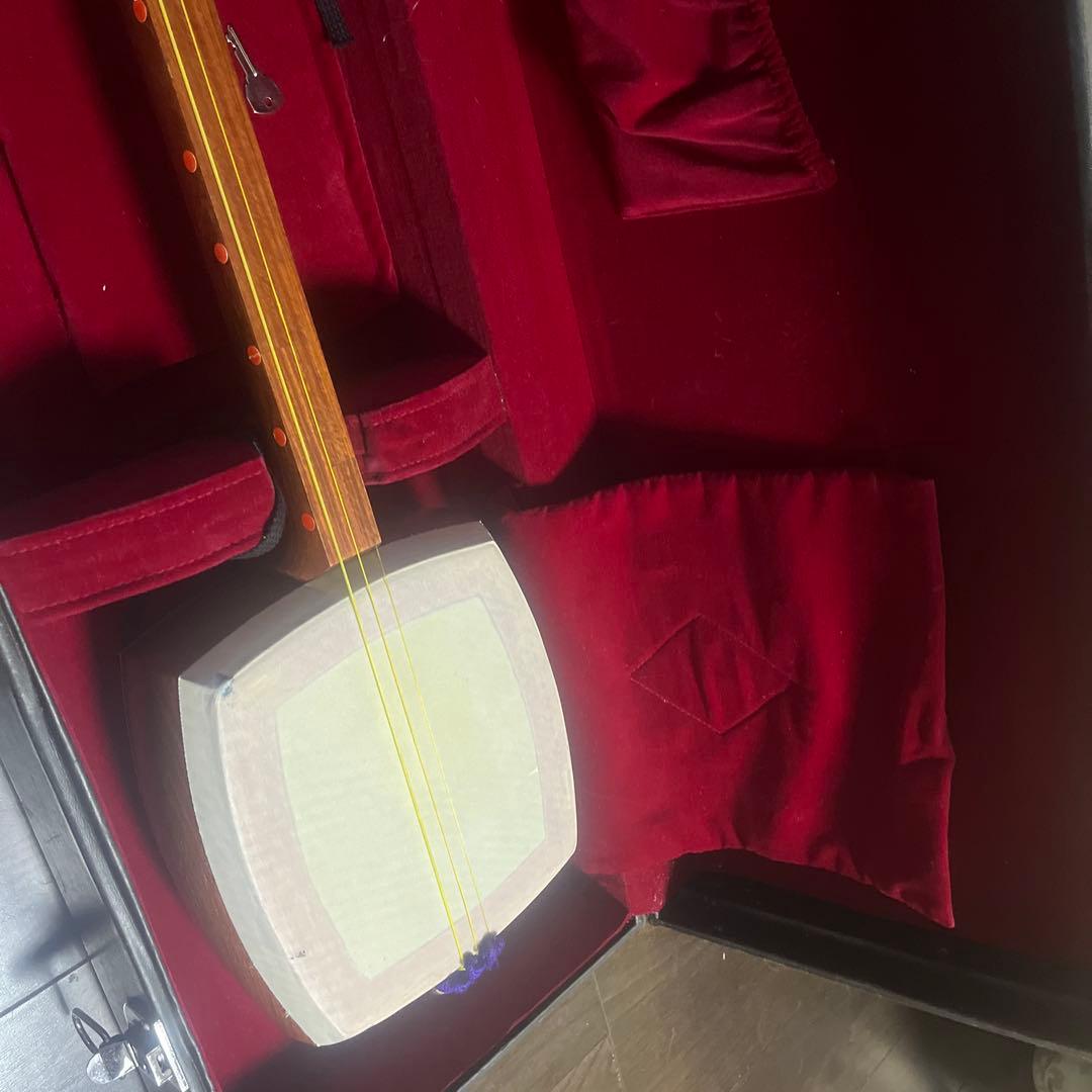 三味線本体 木製 3本の弦 専用ケース付き - PEC-GPGC.COM