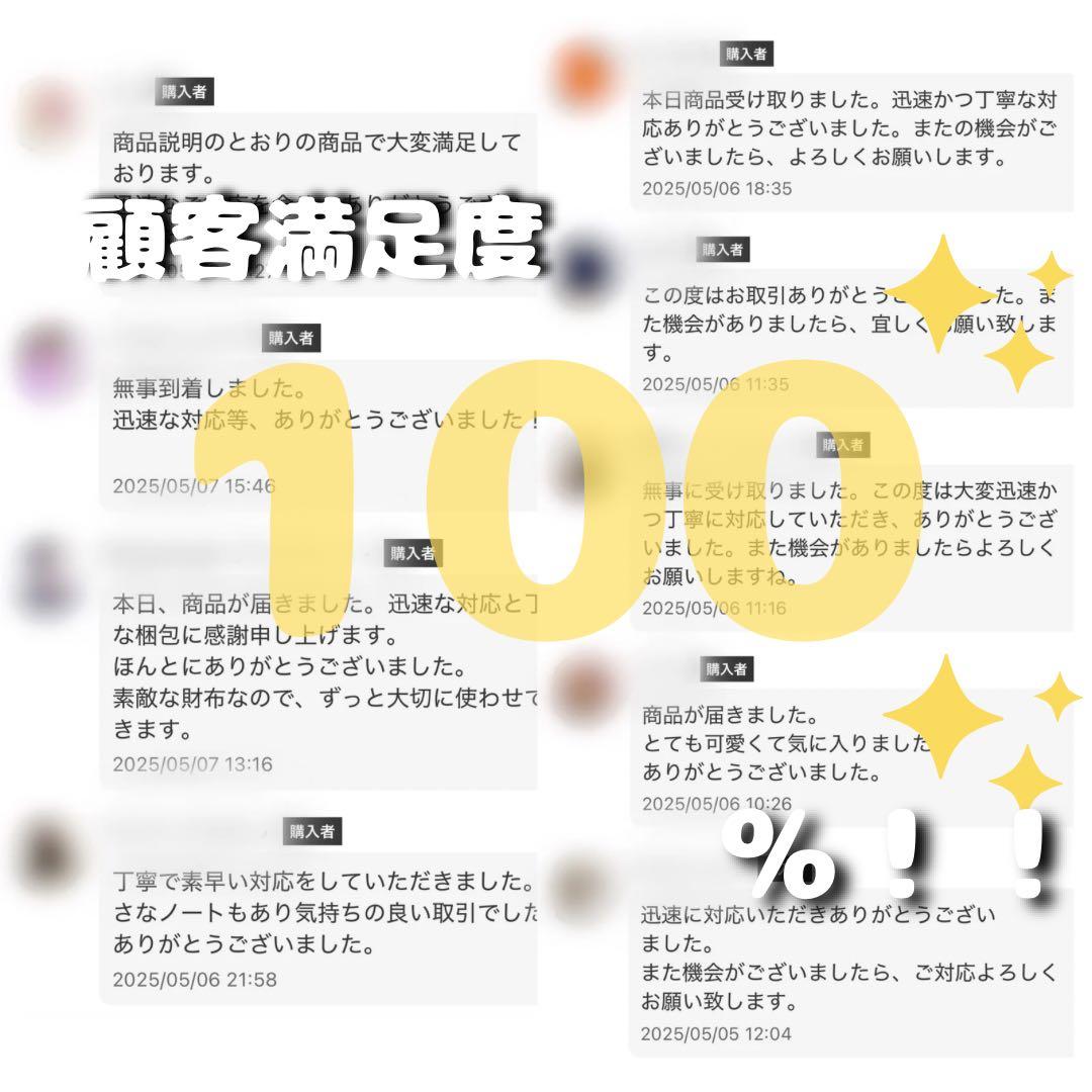 新品未使用 ヴィヴィアンウエストウッド ウエストミンスター フープピアス 片耳