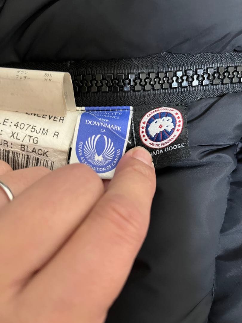   XL ブラック　カムループス　着用イメージ有り