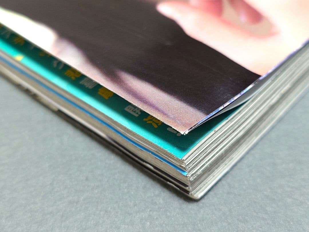 週刊ヤングサンデー2007年15号『おやすみプンプン』新連載/浅野いにお