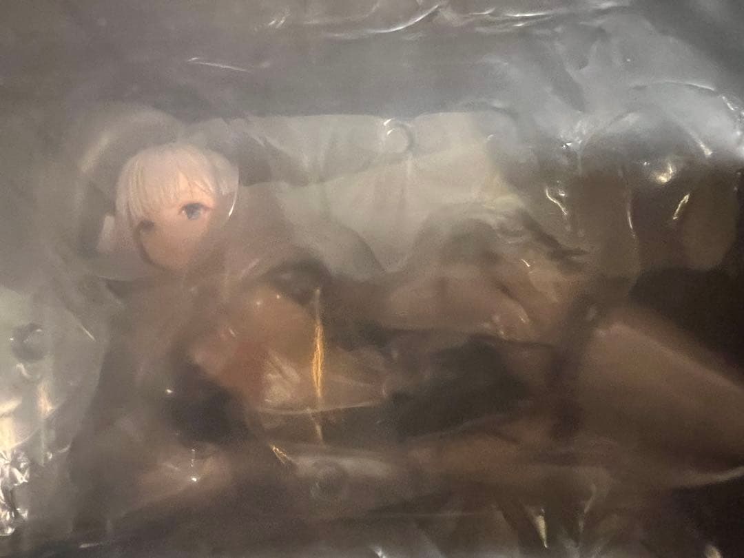 未開封　アズールレーン 瑞鶴 瞬速の真名 & 翔鶴 疾翔の姉羽 ２点セット