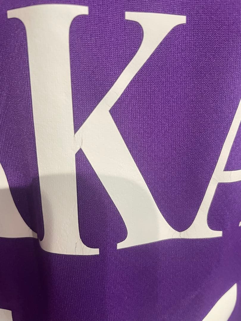 フィオレンティーナ ユニフォーム04-05 中田英寿　ホーム