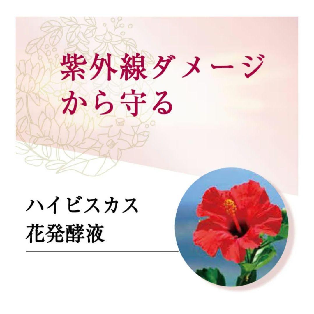 新品 山田養蜂場 BEE MAKE パウダー ナチュラルa 15g まとめ売り