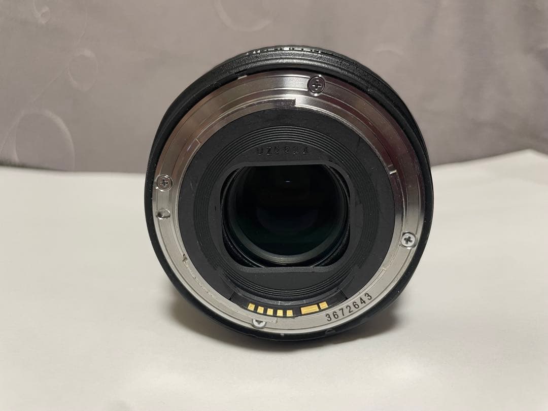 Canon EF 24-105mm F4 L IS USM (フィルター付き)