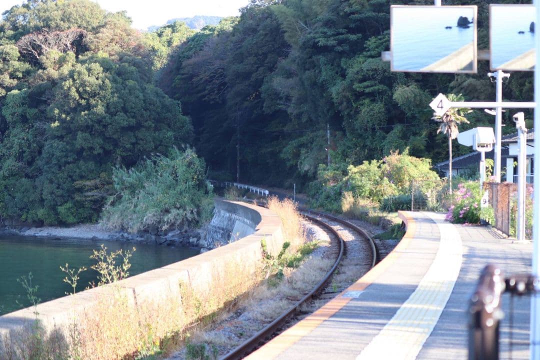 【美品】Canonキャノン EF-S 55-250mm F4-5.6 IS Ⅱ