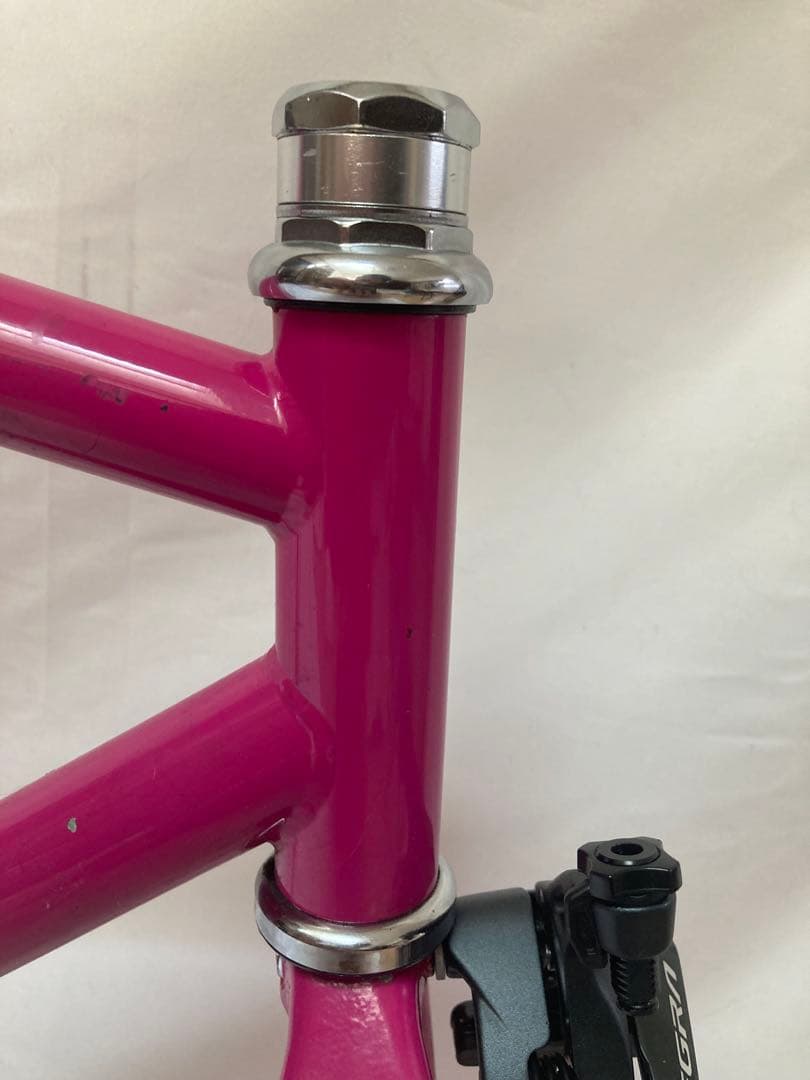 Peloton Madison ピストフレーム ブレーキ穴有 - メルカリ