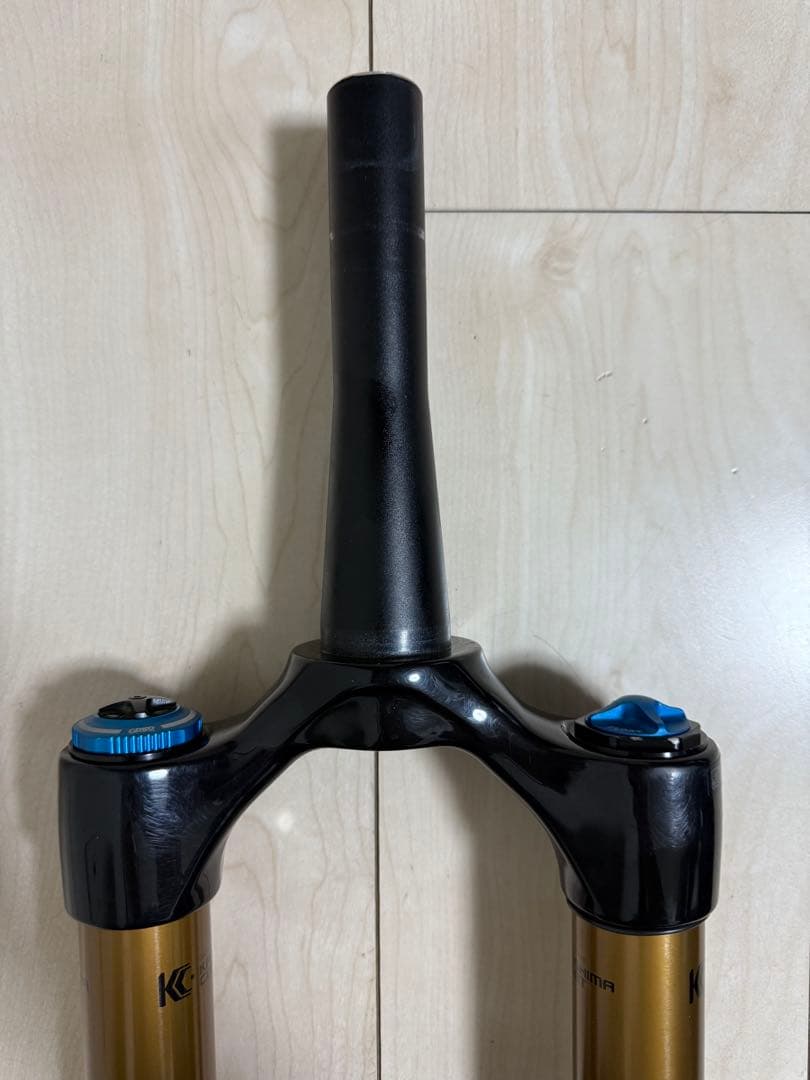 自転車本体 Fox 38 29er 170 Travel