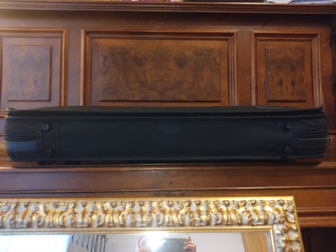 GEWA ゲヴァ　ヴァイオリンケース　美品　VENEZIA　4/4