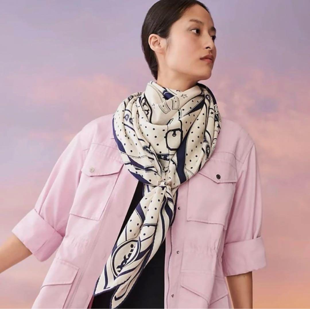 難があり】エルメスカレジェアンカシシルバンダナ柄朝の散歩