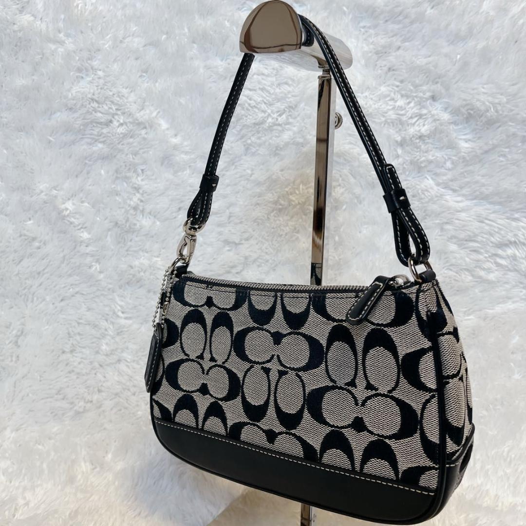 バッグ COACH Accessory Pouch Signature Leather