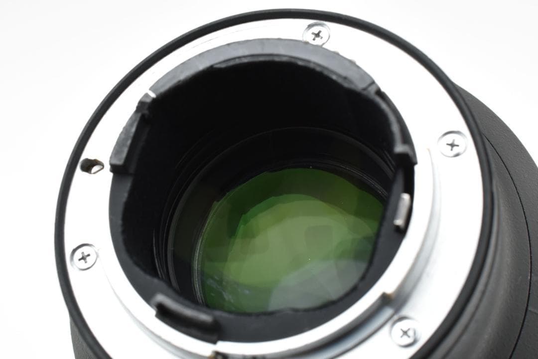 動確済 ニコン Nikon 70-200mm f/2.8G ED #198