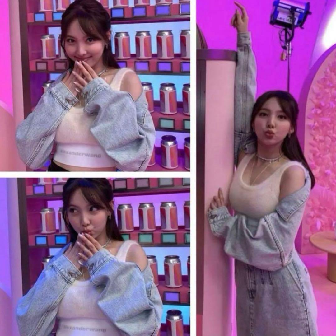 alexanderwang モヘアブラトップ ロゴ - メルカリ