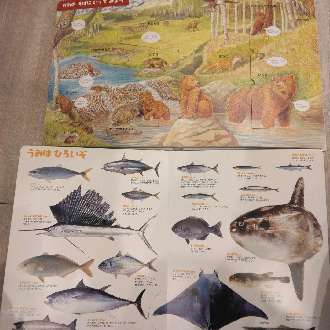 図鑑まとめ売り16冊セット　小学館NEO　講談社MOVE　はっけんずかん