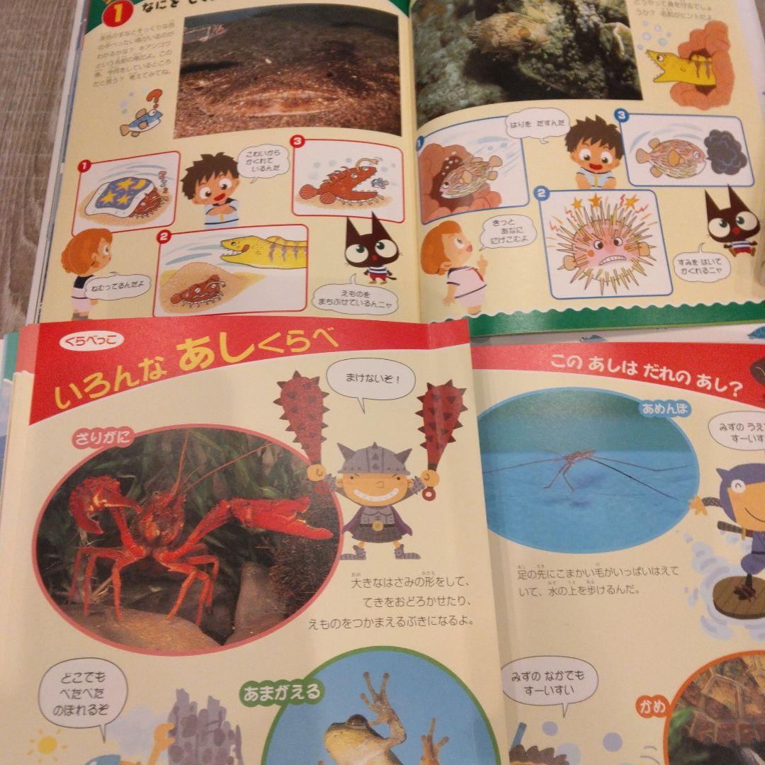 図鑑まとめ売り16冊セット　小学館NEO　講談社MOVE　はっけんずかん