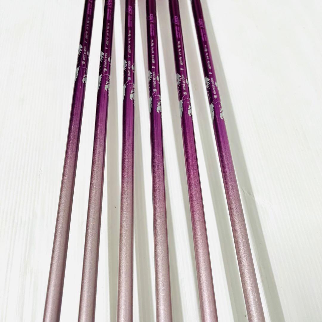 女性用　ゼクシオ　レディース　アイアンセット　XXIO10 MP1000 A