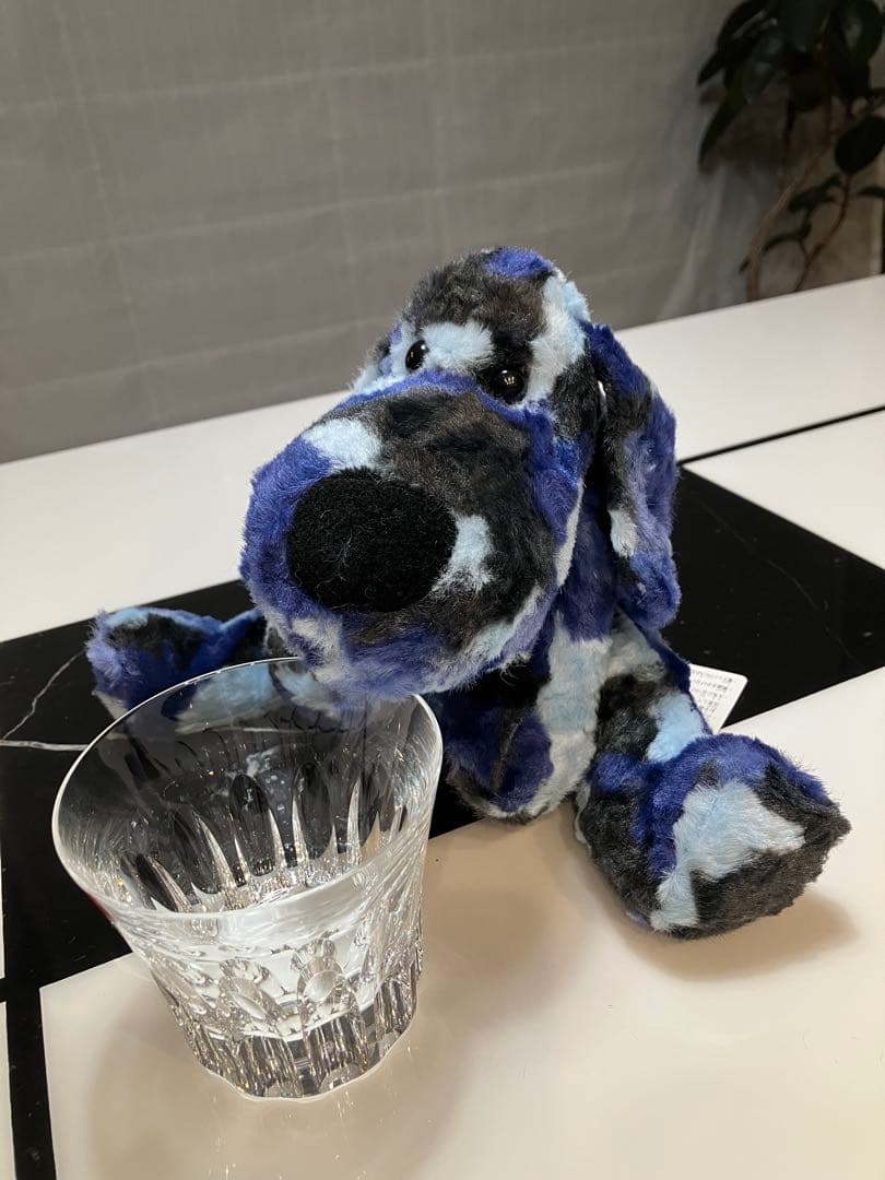 ★★ SONGです★★ 子犬のるーくL　カモフラマリン