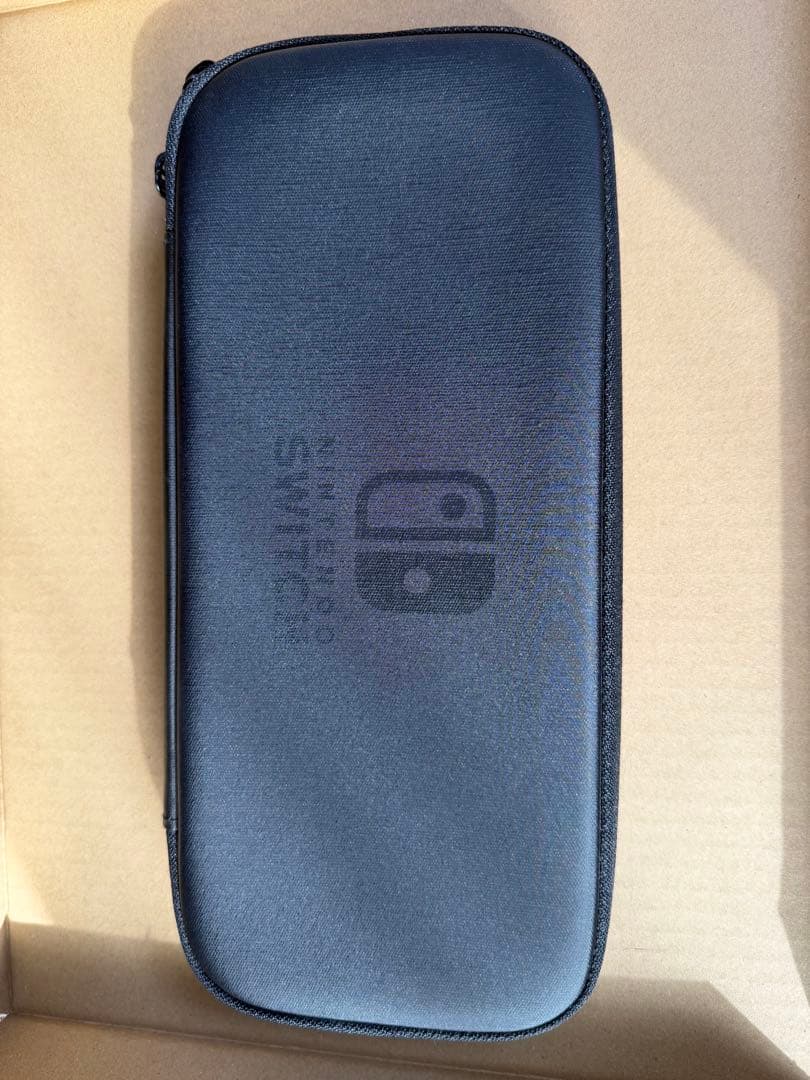 Nintendo Switch 本体+ Proコントローラー +キャリングケース