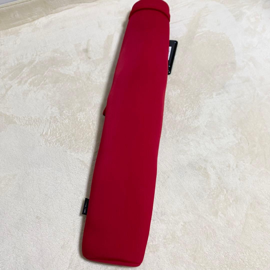 【美品】ツカモトエイム エアリービューティーポール AIM-FN062 レッド