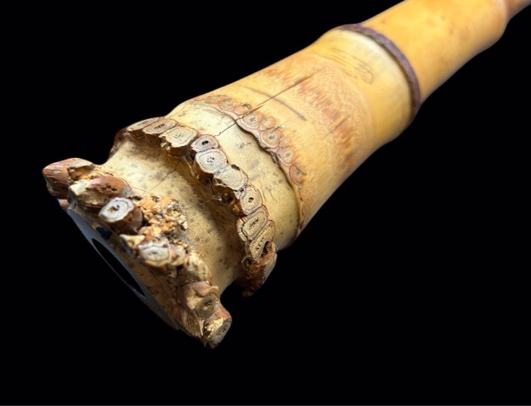 琴古流 尺八 坂野如延銘 時代和楽器 -283-