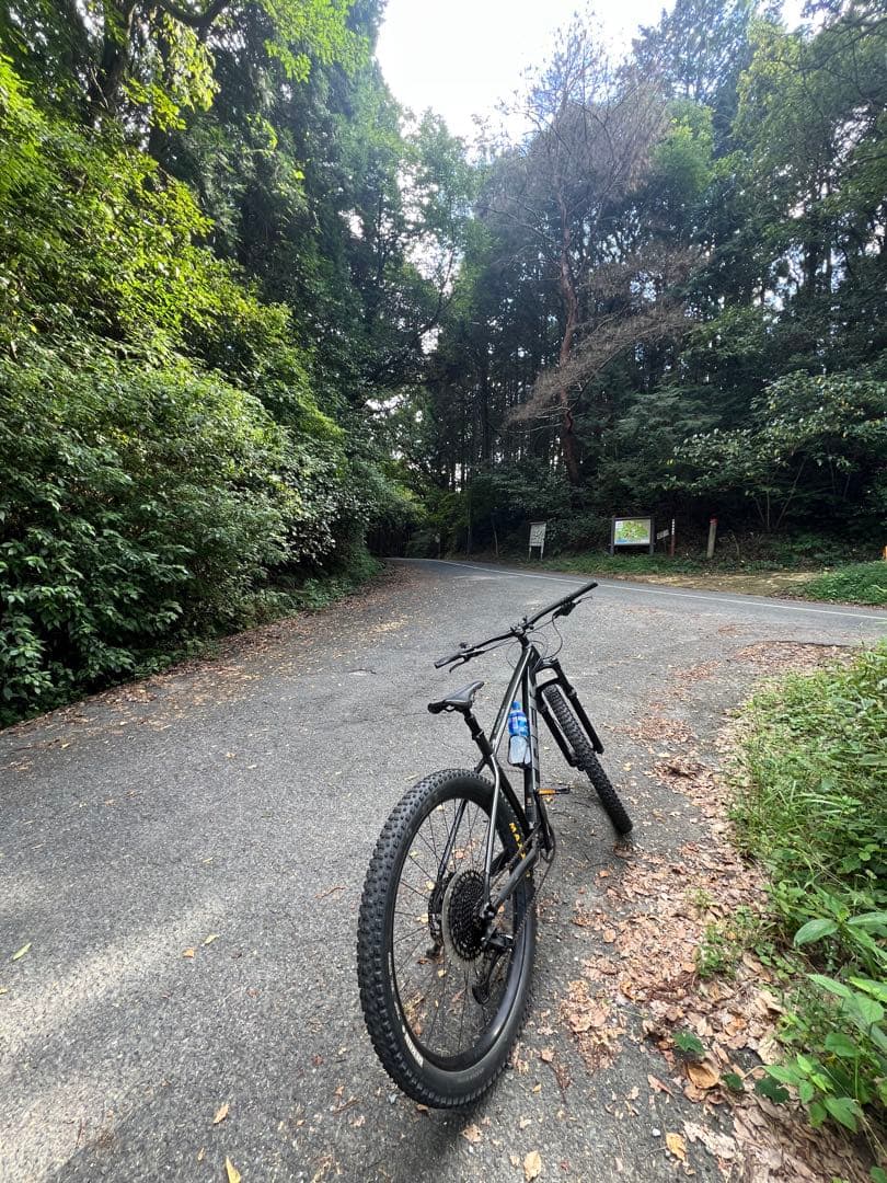 自転車本体 TREK Roscoe7