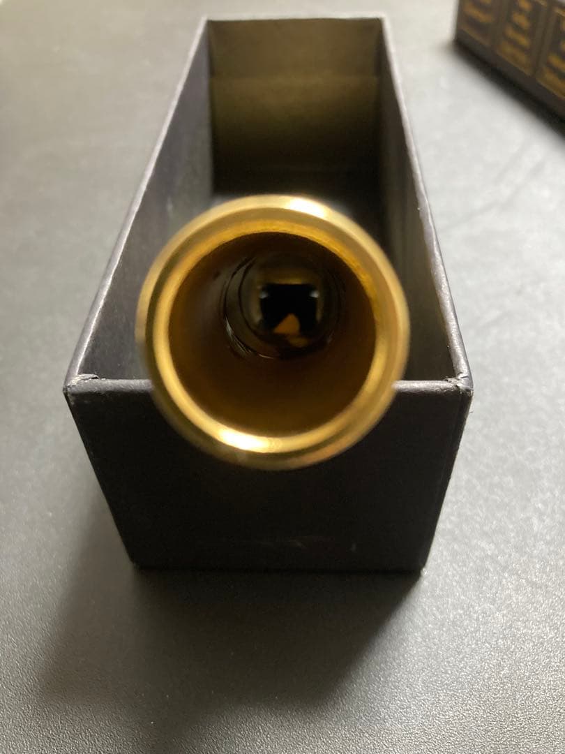 Theo Wanne DURGA V バリトン 7☆