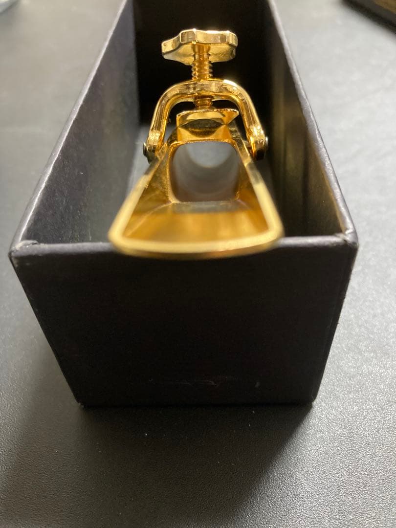 Theo Wanne DURGA V バリトン 7☆