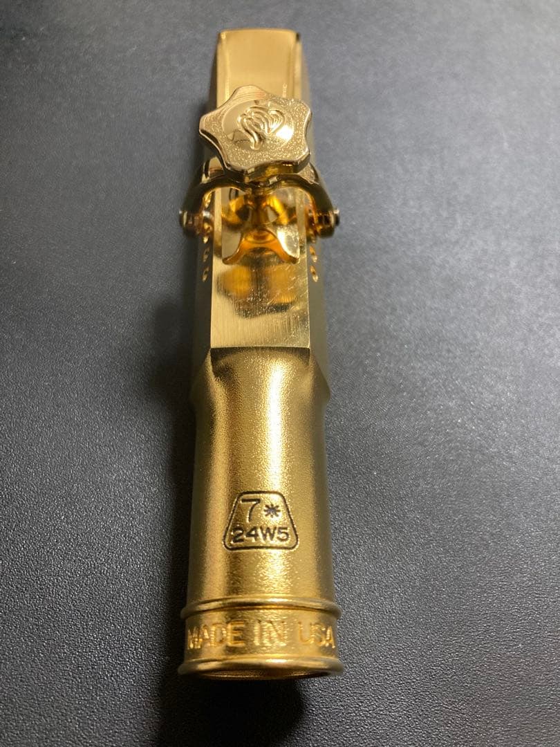 Theo Wanne DURGA V バリトン 7☆