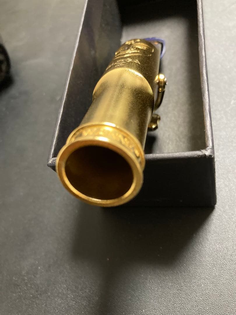 Theo Wanne DURGA V バリトン 7☆