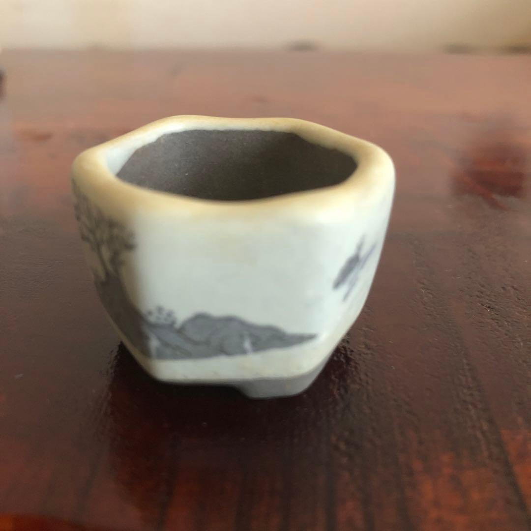 小品盆栽　サボテン　植物鉢 8点組　絵柄6点　小餅庵2点